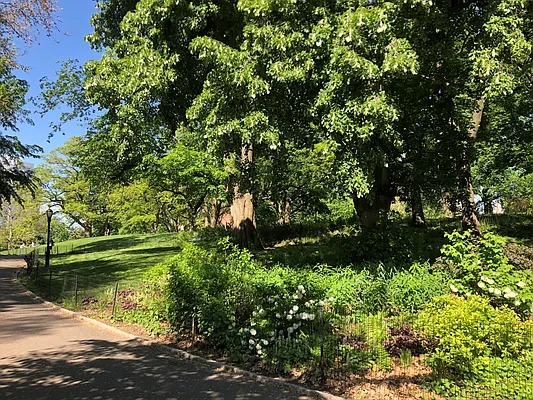 Rented by Corcoran | media 15