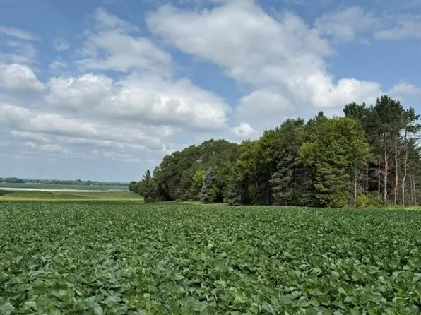 LOT Lehigh Rd S #B, Cottage Grove, MN 55016