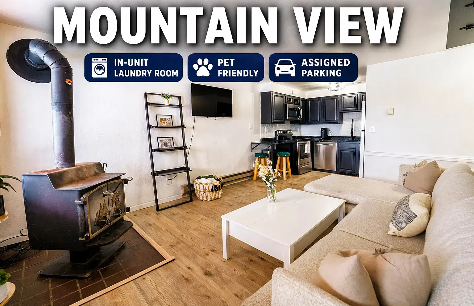 1 bed, 552 sqft, $3,000 — Photo 1