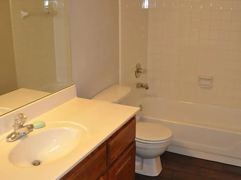 Hall bath with wood-tile flooring