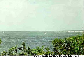 1st image of 6000 E Royal Marco Way #249