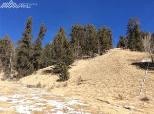 351 Wellington Dr, Cripple Creek, CO 80813