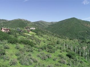 31615 Aspen Ridge Rd, Steamboat Springs, CO 80487