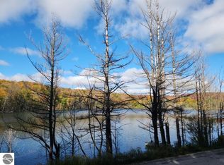 Waterfront Parmater Rd, Elmira, MI 49730