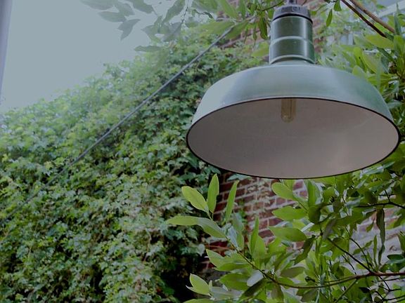 Huge restored light. View from the kitchen sink to the back.