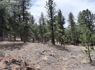 88 N Crystal Rd, Lake George, CO 80827