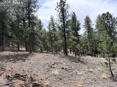 88 N Crystal Rd, Lake George, CO, 80827