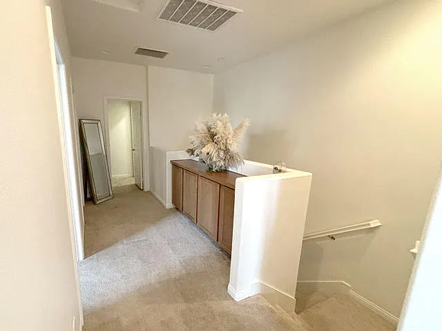 441 Nickel Creek Dr — Photo 19
