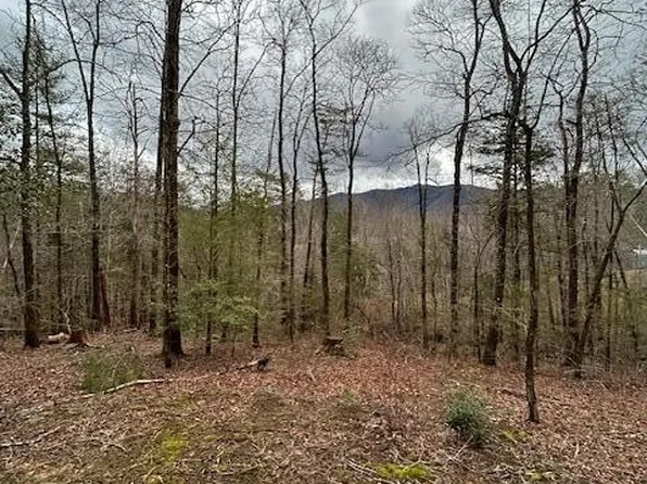 329 Beckett Ridge Rd #5, Townsend, TN 37882