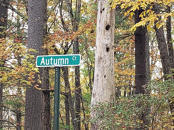 4th image of LOT 434 Autumn Ct