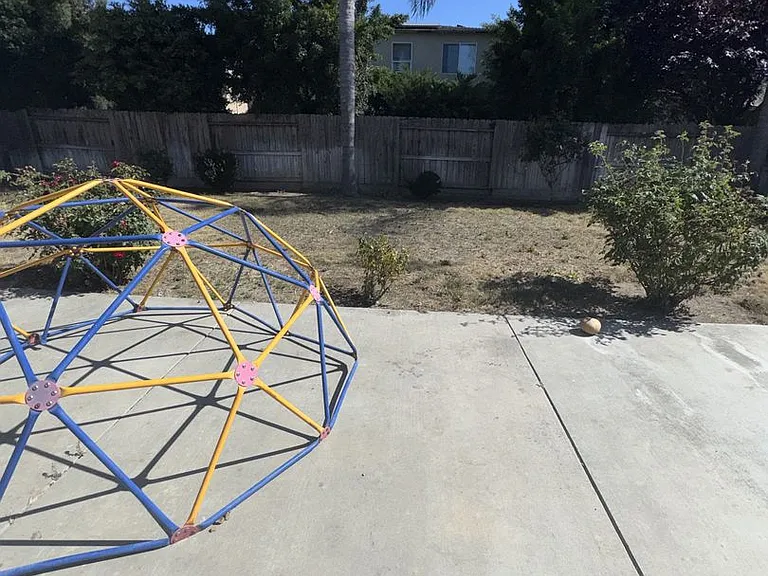 2020 Golden Way — Photo 33