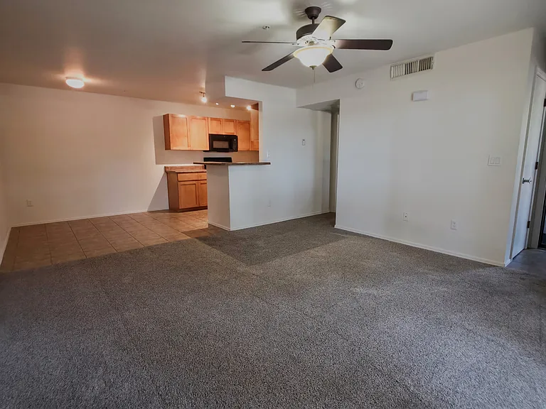 1185 W University Ave #13 — Photo 9