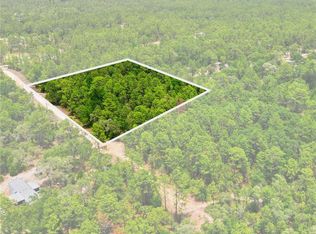 5339 N Lace Point LOT 54, Dunnellon, FL 34433
