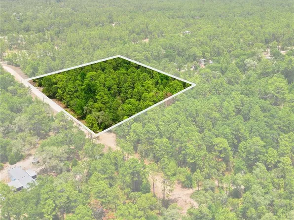 5339 N Lace Point Lot 54, Dunnellon, FL 34433
