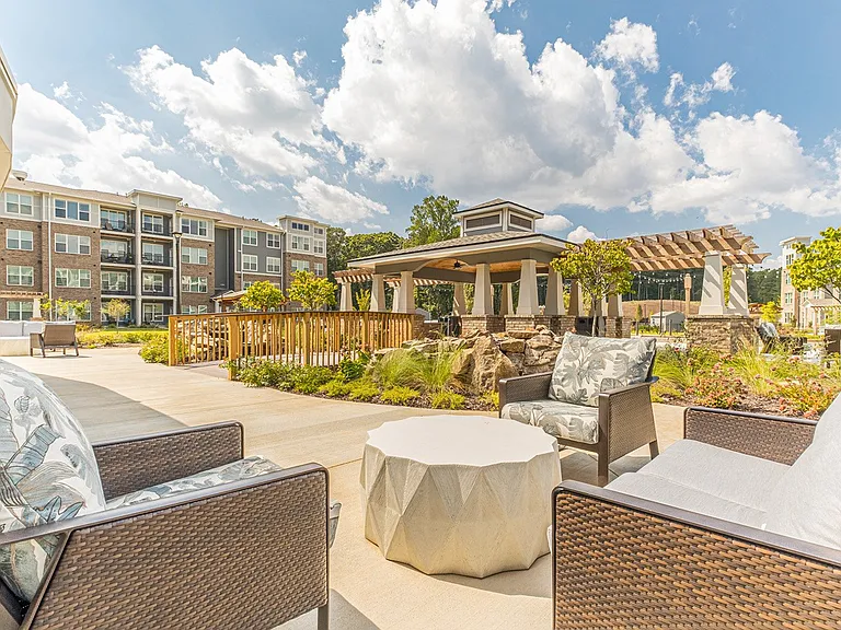 Preserve at Peachtree Shoals 55+ Apartments — Photo 28