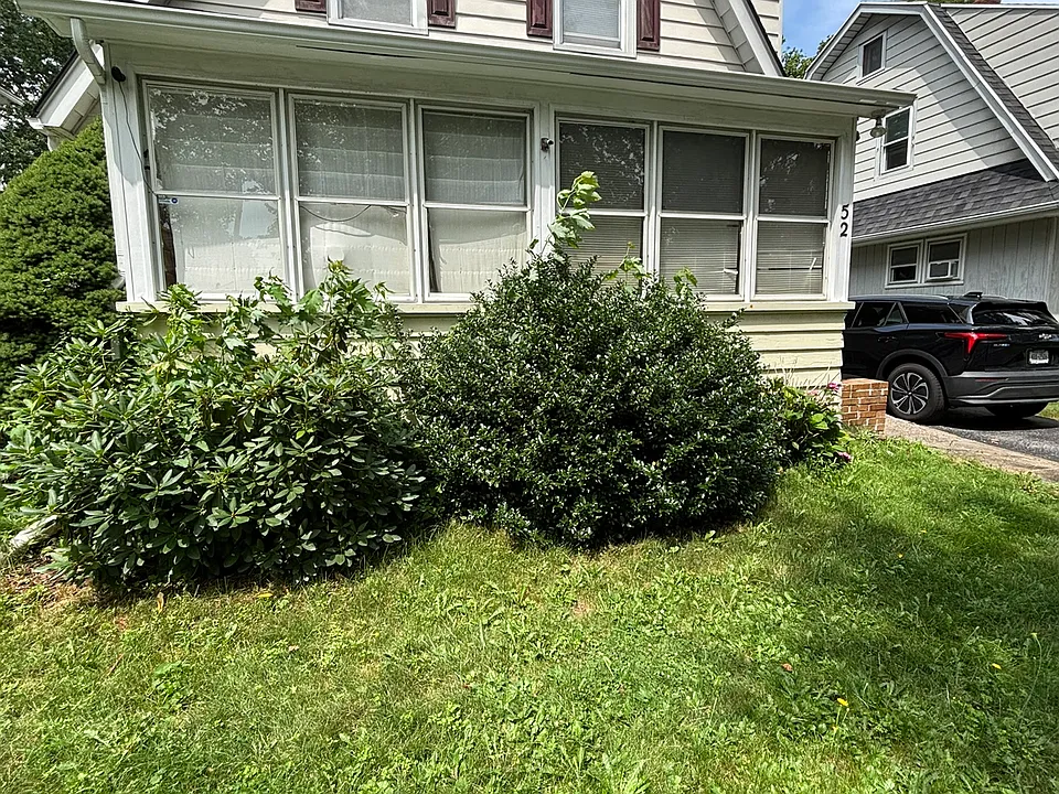 52 Maynard St
