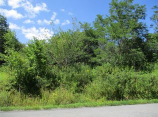 0 Daniels Rd, South Plymouth, NY 13844