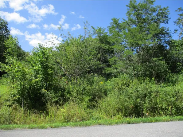0 Daniels Rd, South Plymouth, NY 13844