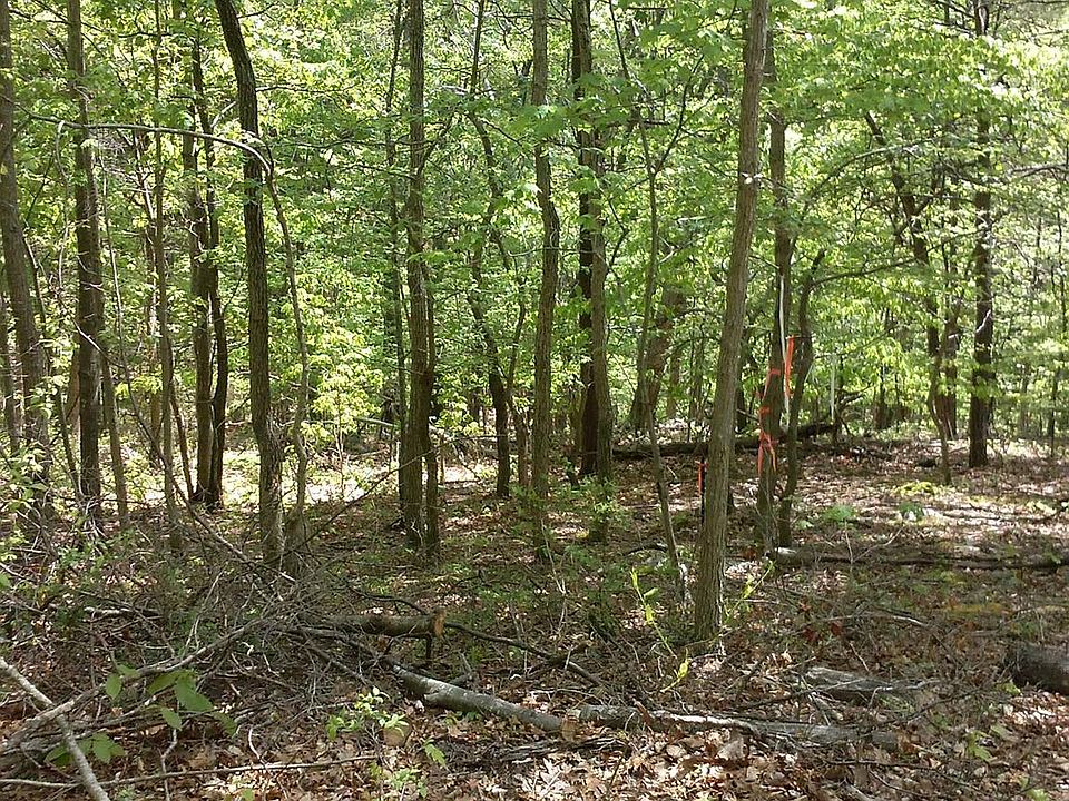 2nd image of 0 Markham Farm Rd