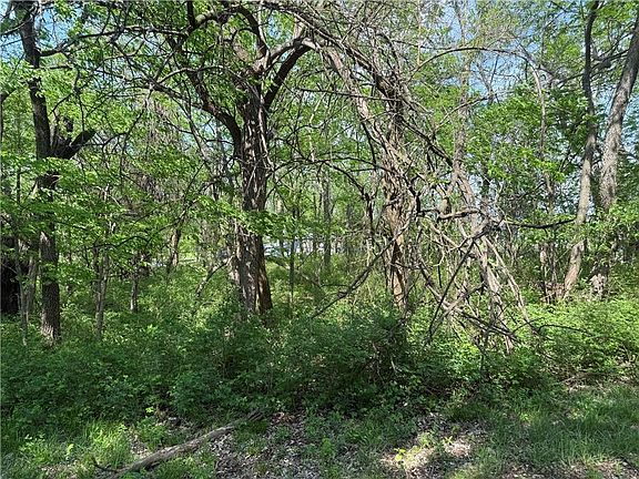 2nd image of 17 Black Oak Dr