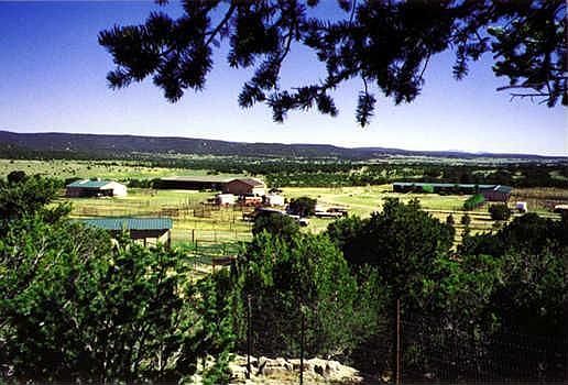 1st image of 9031 Highway 337
