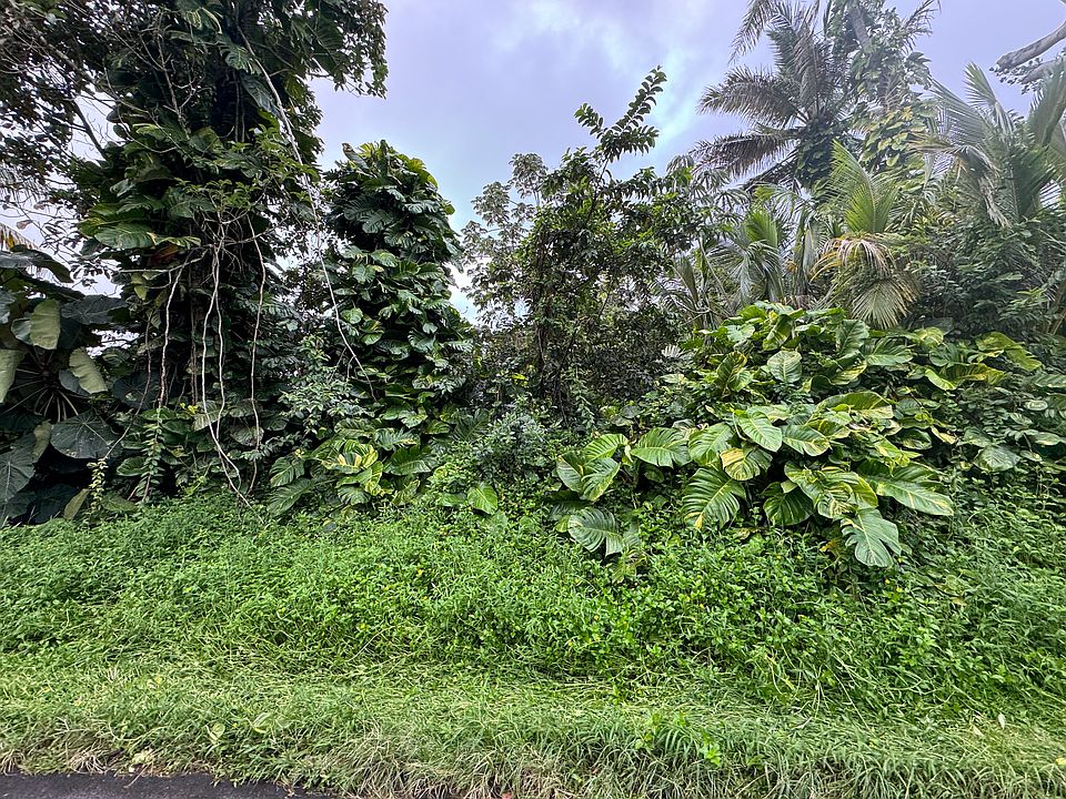 2nd image of Opakapaka St Lot 8