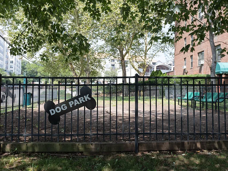 Dog Park