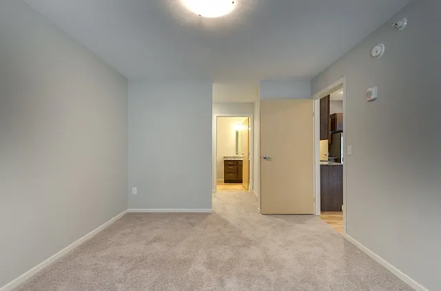 Walk Through Closet to Master Bath Walk Through Closet to Master Bath