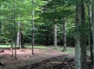 11458 Old State State Rd #14, Dalton, NY 14836