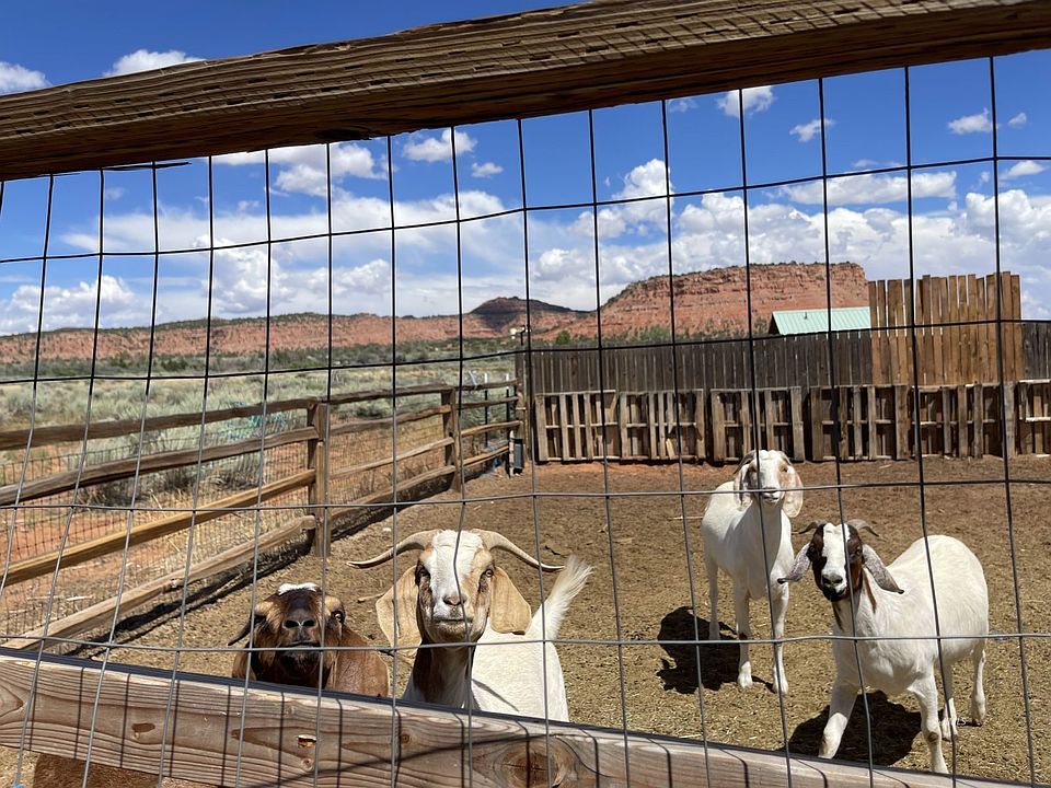 7265 Sunflower Ln, Kanab, UT 84741 MLS 1408345 Zillow