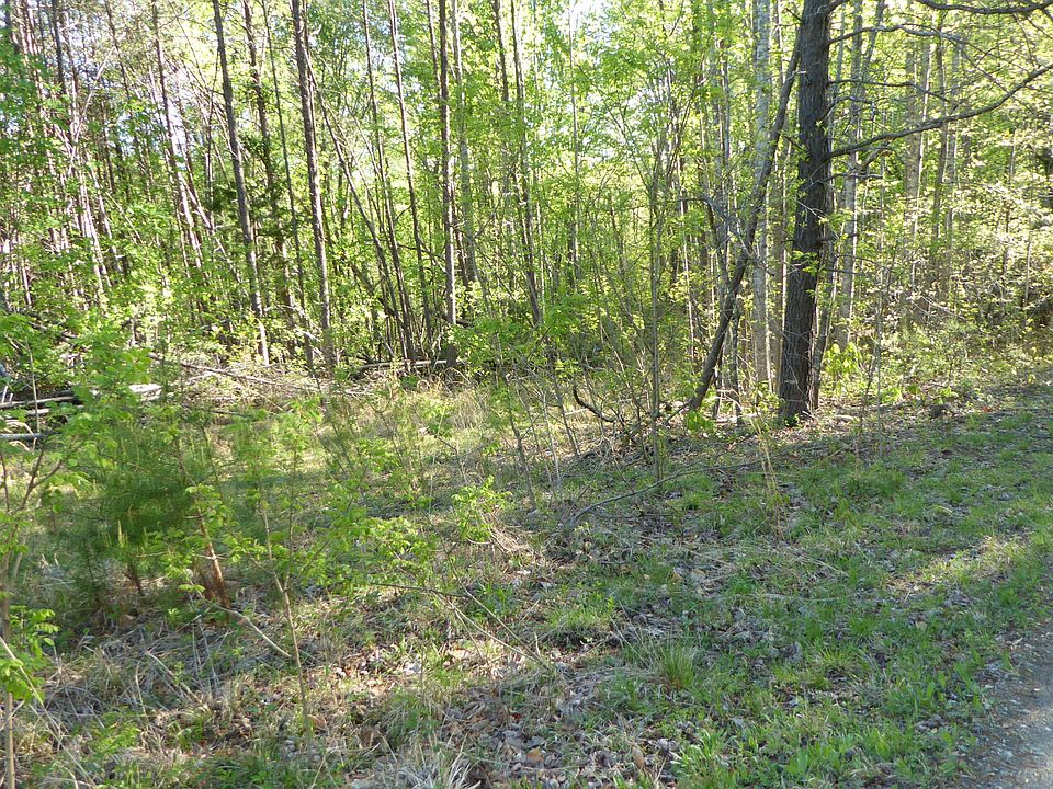 2nd image of 1 Dusty Ln