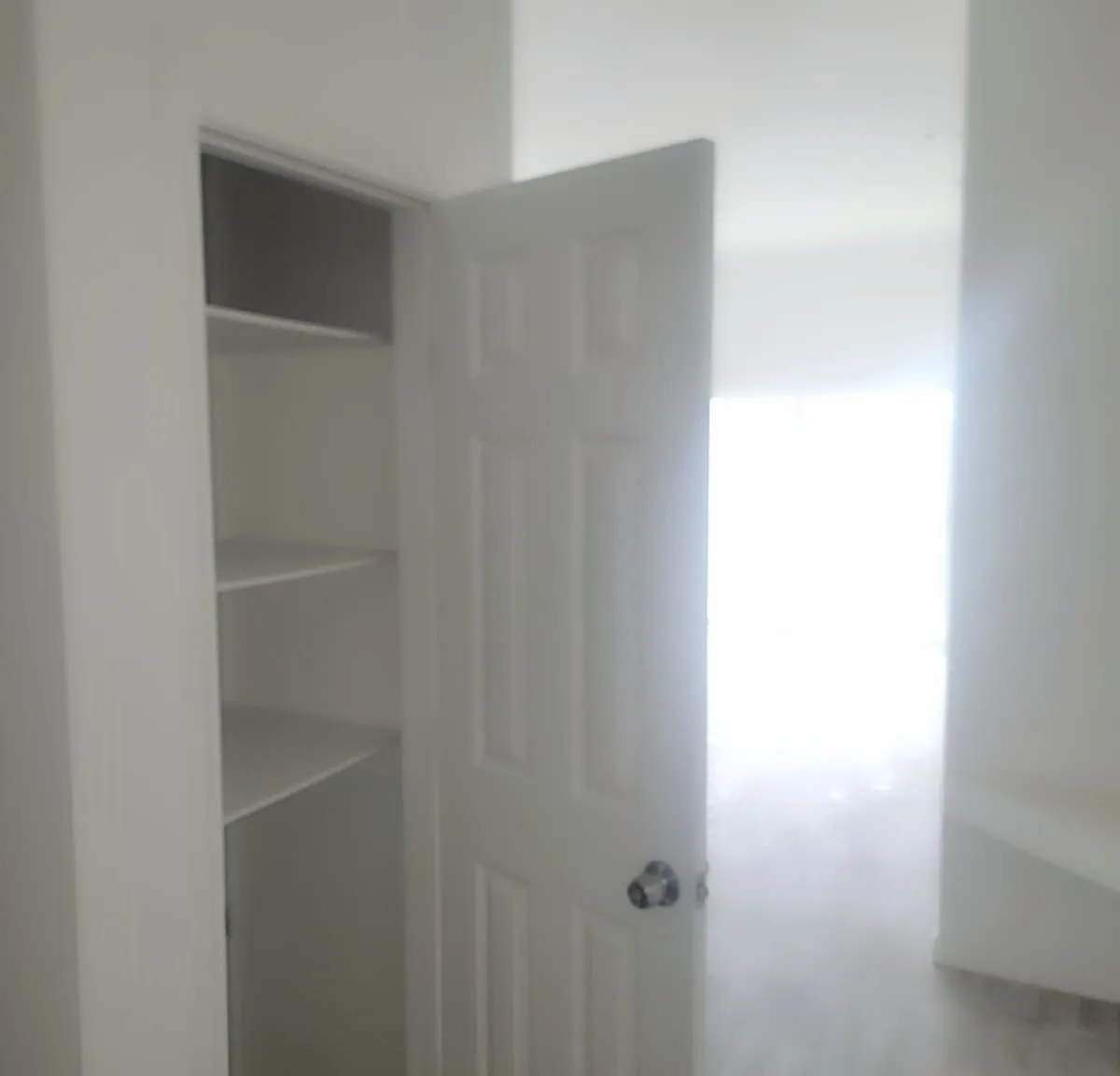 1 bed, 740 sqft, $1,049 — Photo 2