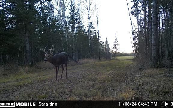 2nd image of Arkola Rd