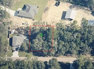 49 E Anton Dr, Citrus Springs, FL 34434