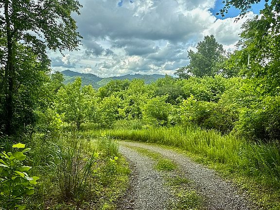 15th image of 131 Gibson Hollow Rd