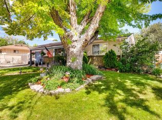 9054 Lander St, Westminster, CO 80031