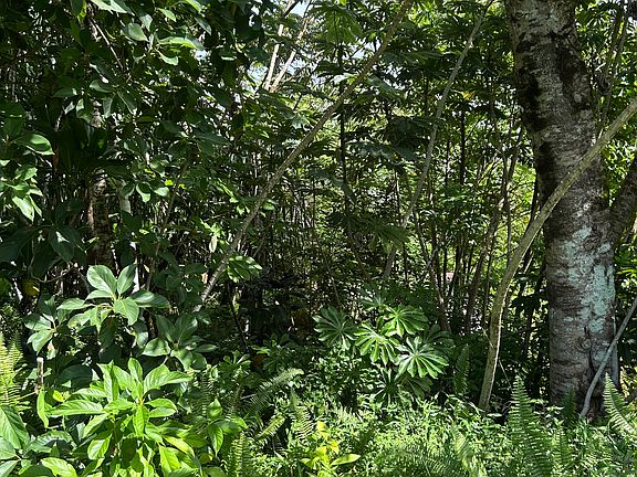 5th image of Puni Makai Loop S Lot 1263