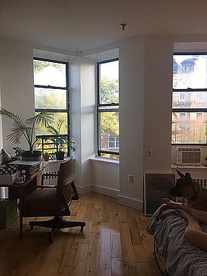 3rd image of 407 Chauncey St APT 3A