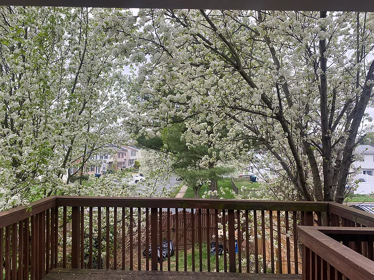 518 Burlington Ct — Photo 17