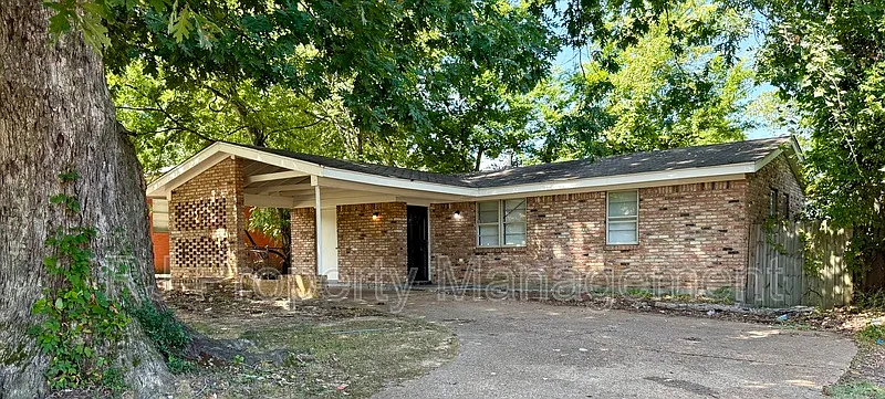 3 bed, 1.0 bath, 980 sqft, $995 — Photo 2