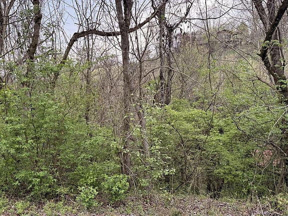 4th image of 4 Hideaway Ridge Cir Lot 4