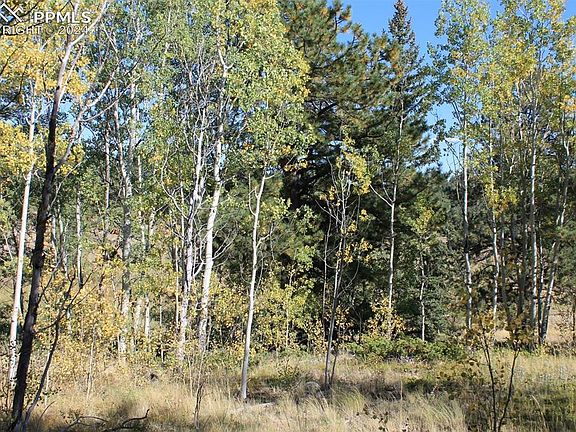 4th image of 54 Elkhorn Ln