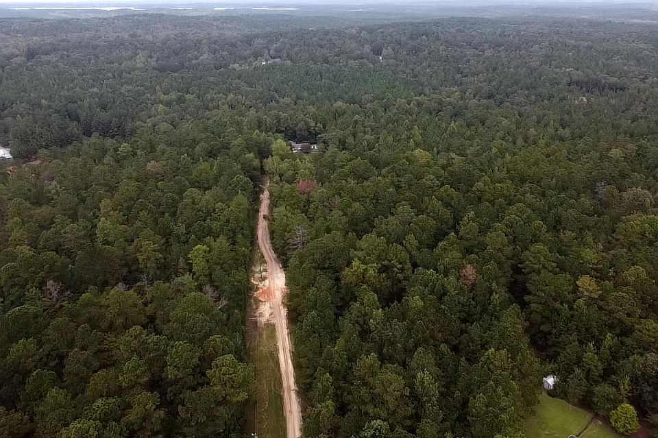 Looking north down the drive towards the house.  