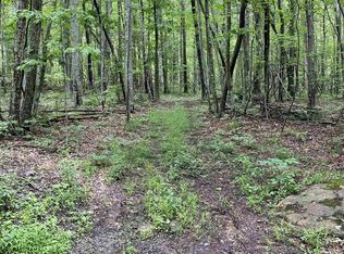 Big Branch Hollow Rd, Big branch, VA 24136