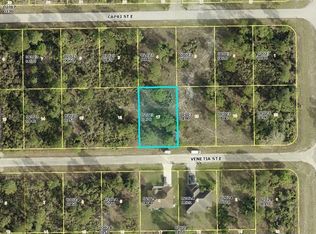 1145 Venetia St, Lehigh Acres, FL 33974