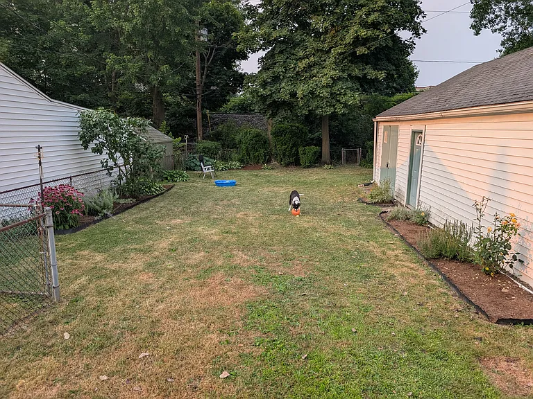 486 Linden Ave — Photo 4