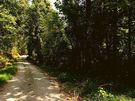 5th image of 0 Davis Rd