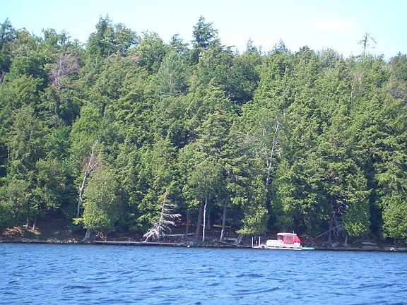 2nd image of 2444 Woods Point