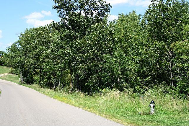 1st image of North Blackburn Road Lot 14