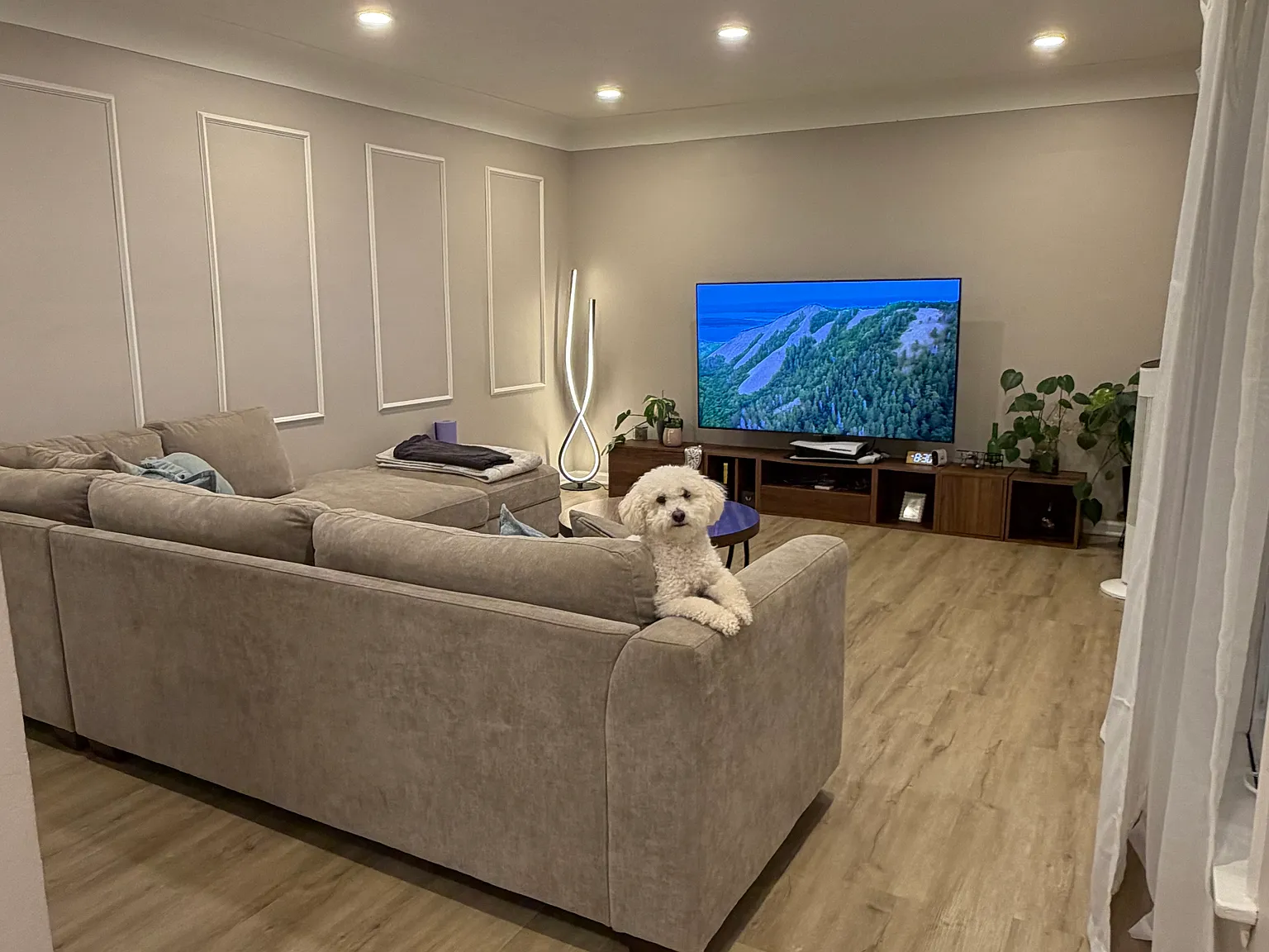 4 bed, $2,300 — Photo 1